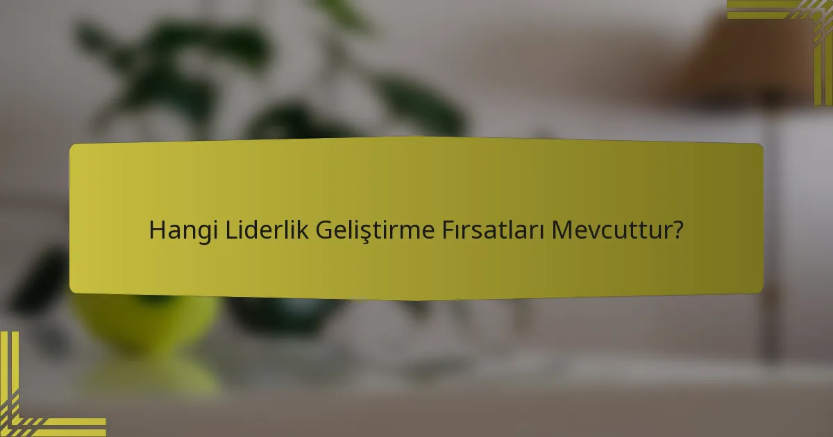 Hangi Liderlik Geliştirme Fırsatları Mevcuttur?